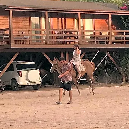 Equestrian And Club Hotel *