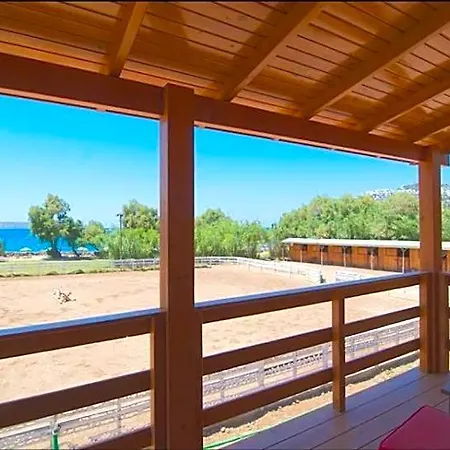 Hotel Equestrian And Club *
