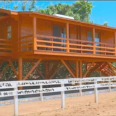 Equestrian And Club