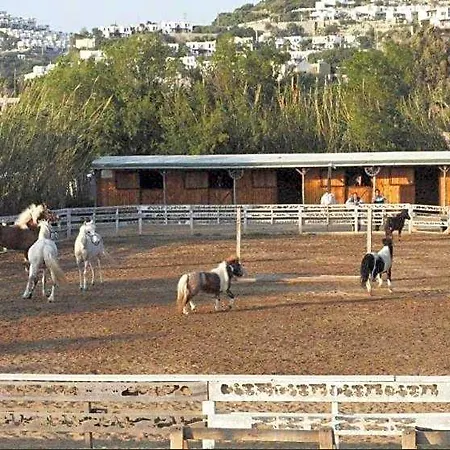 Hotel Equestrian And Club