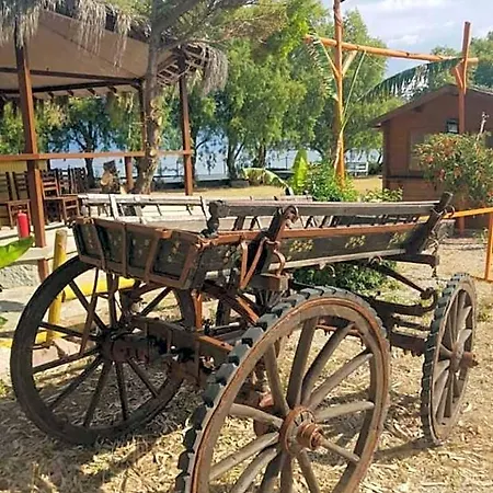 Hotel Equestrian And Club *